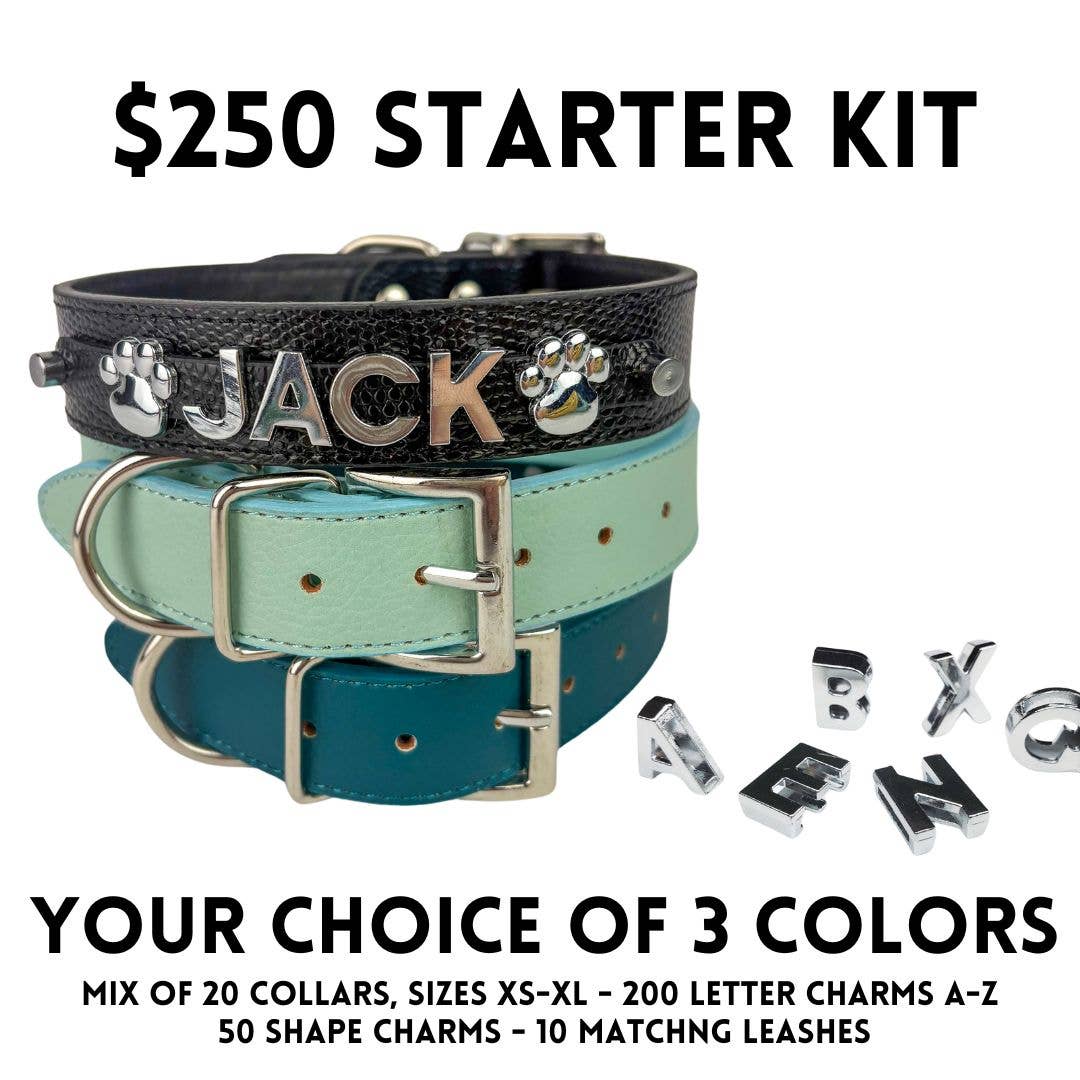 DIY Pet Collar Bar Starter Pack - Silver Matte (no bling)