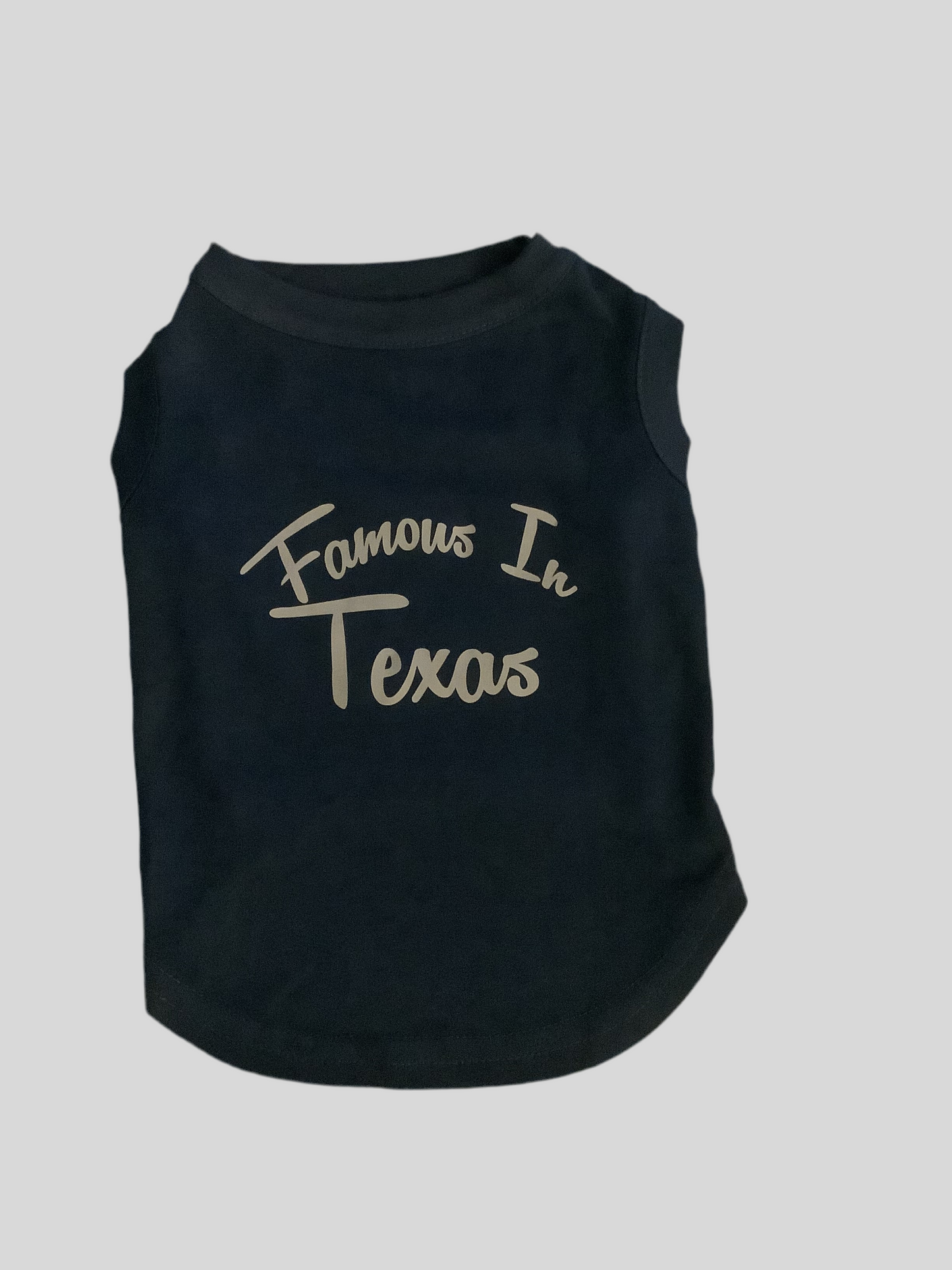 Famous In Texas T-Shirt