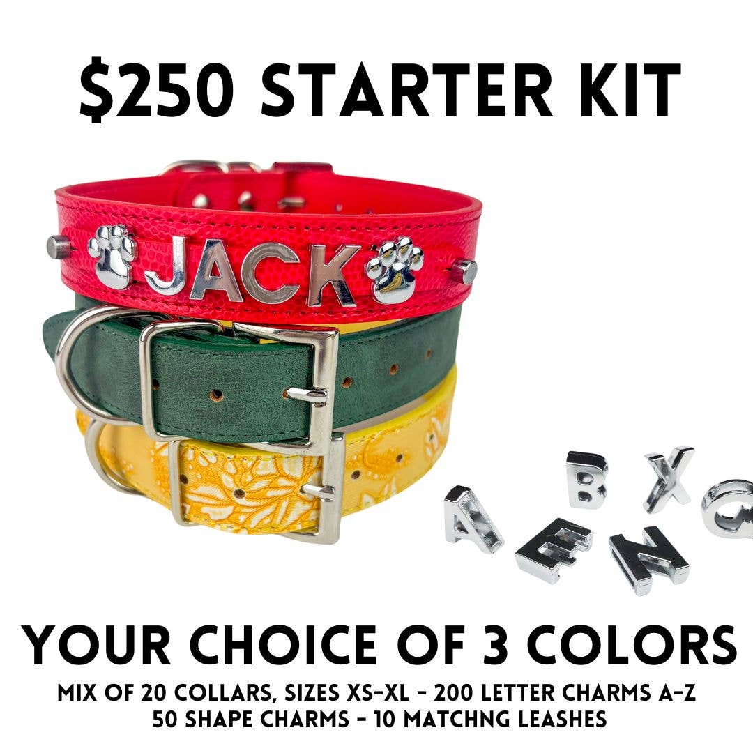 DIY Pet Collar Bar Starter Pack - Silver Matte (no bling)