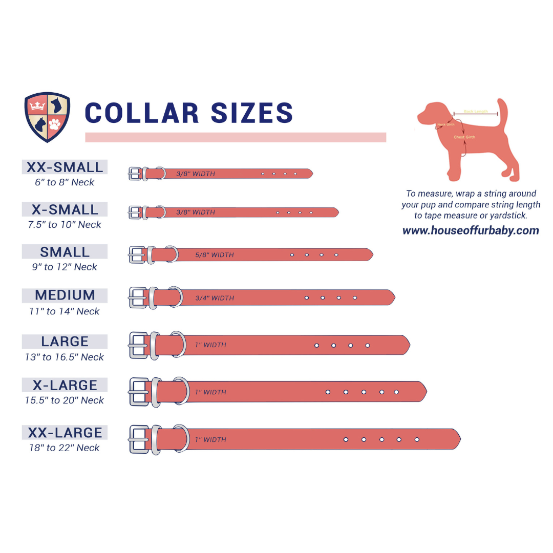 DIY Pet Collar Bar Starter Pack - Silver Matte (no bling)