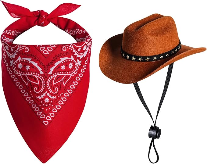 Cowboy/Cowgirl Hats