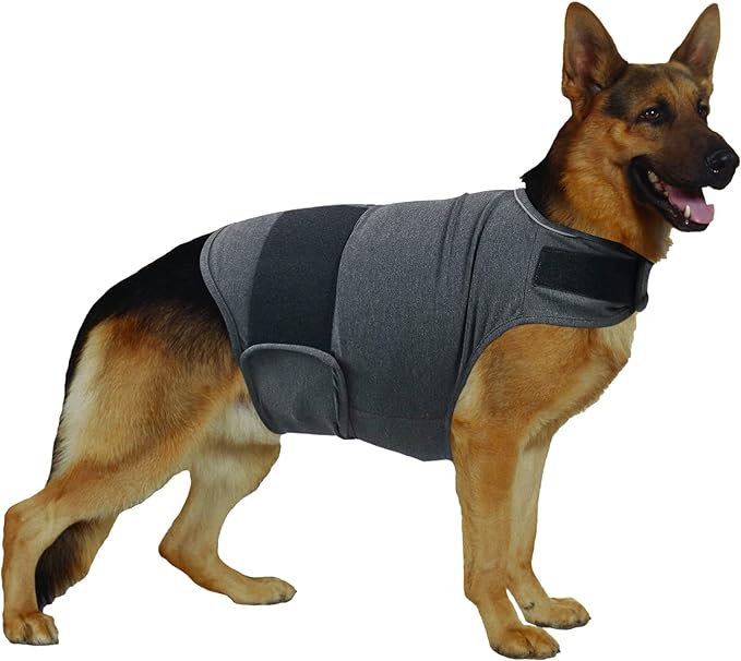 Calming Vest