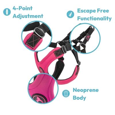 Sport Harness