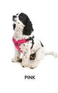 Sport Harness