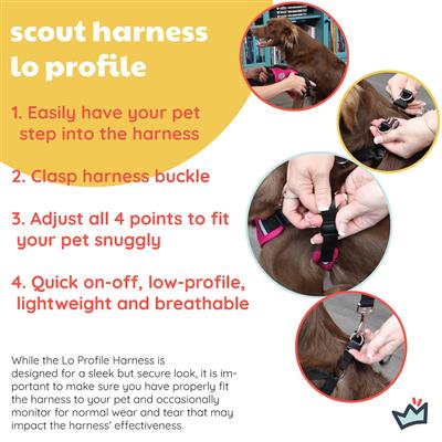 Scout LoPro Harness