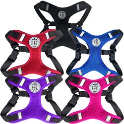 Scout LoPro Harness