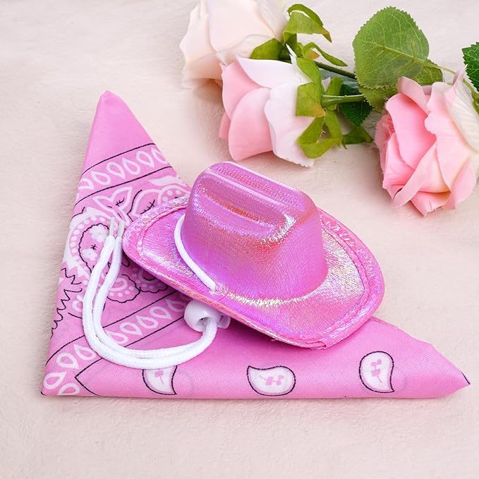 Cowboy/Cowgirl Hats