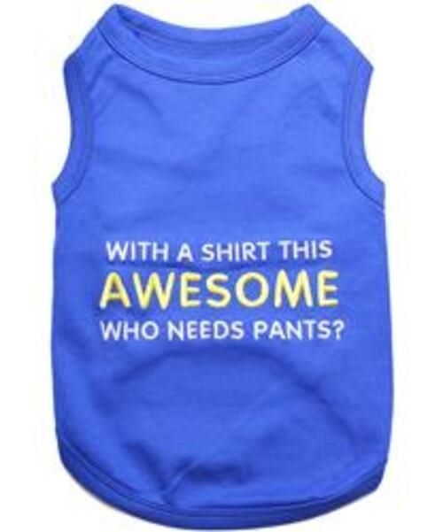 Awesome or Pampered T-Shirt