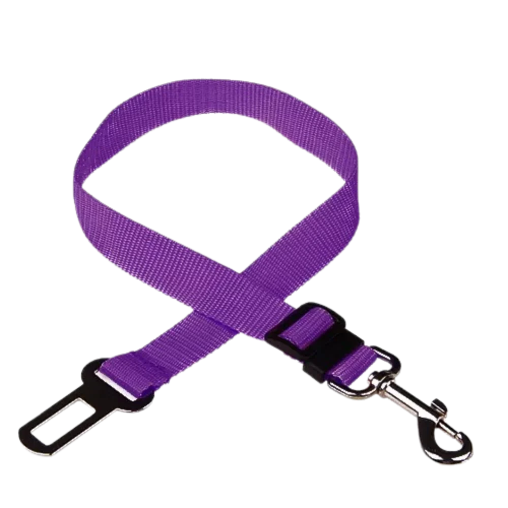 Seat Belt Leash