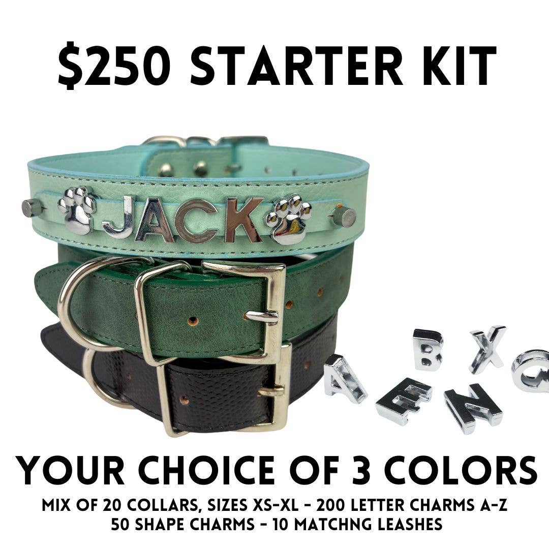 DIY Pet Collar Bar Starter Pack - Silver Matte (no bling)