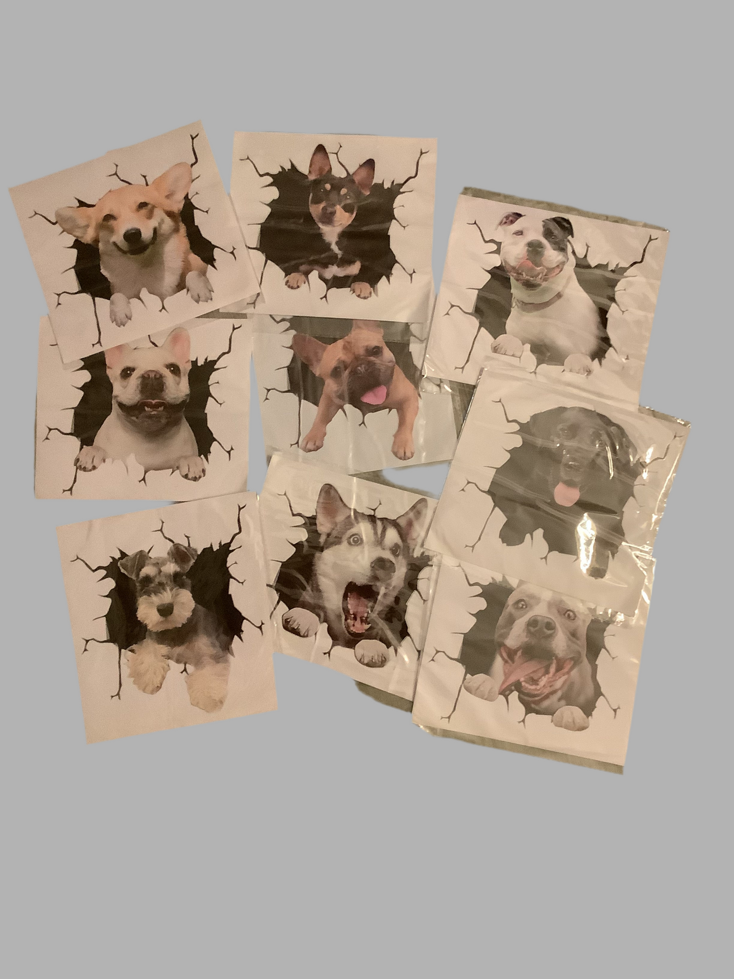 Paw or Dog Decal