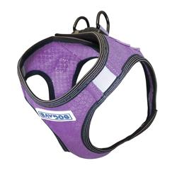 Bay Dog Harness