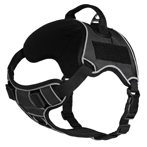 Multipurpose Dog Harness