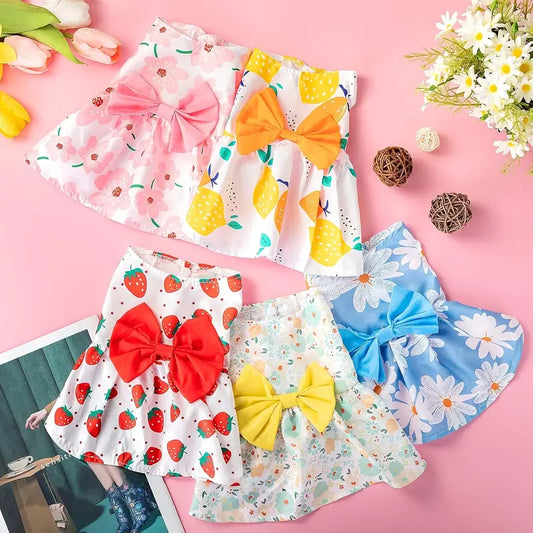 Summer Dress