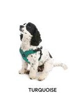 Sport Harness