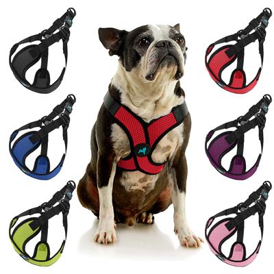 Lite Gooby Harness