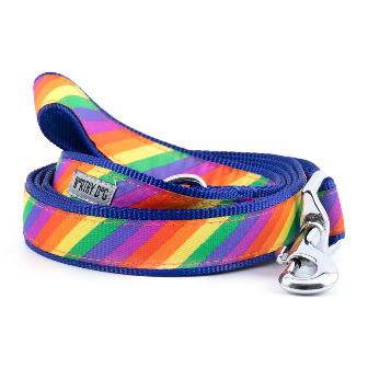 Rainbow Leash