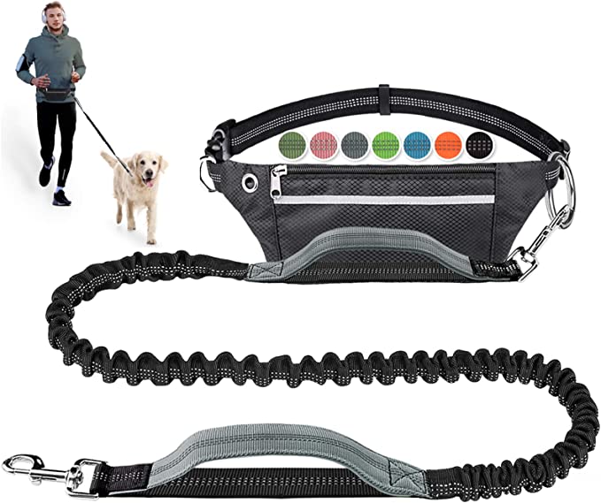 Running Leash