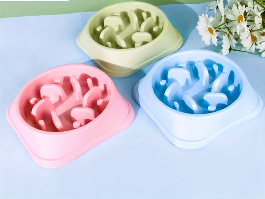 Slow Feeder Bowl