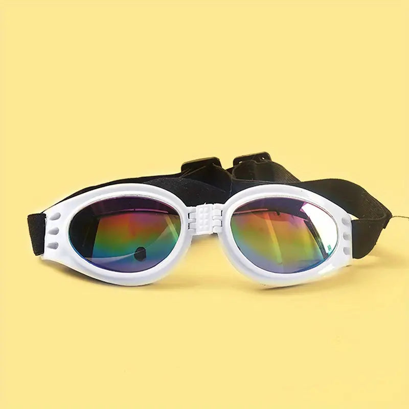 Goggle Sunglasses