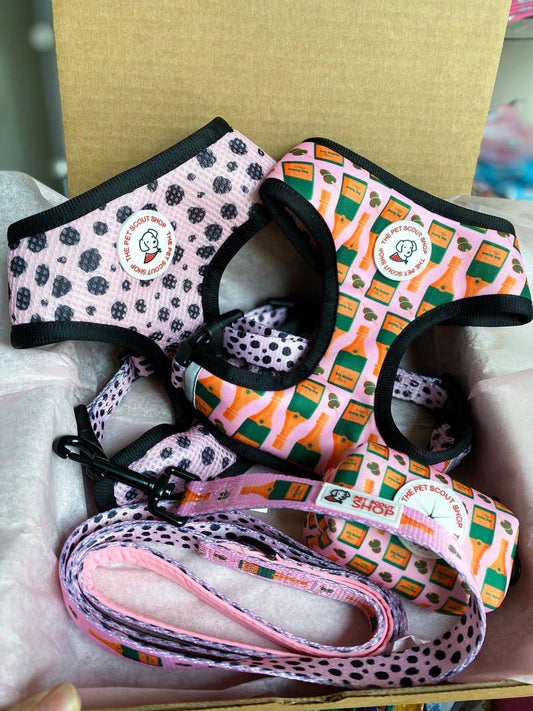 Champagne Reversible Harness