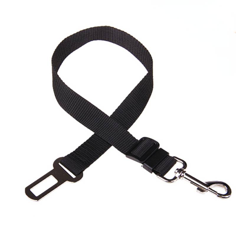 Seat Belt Leash